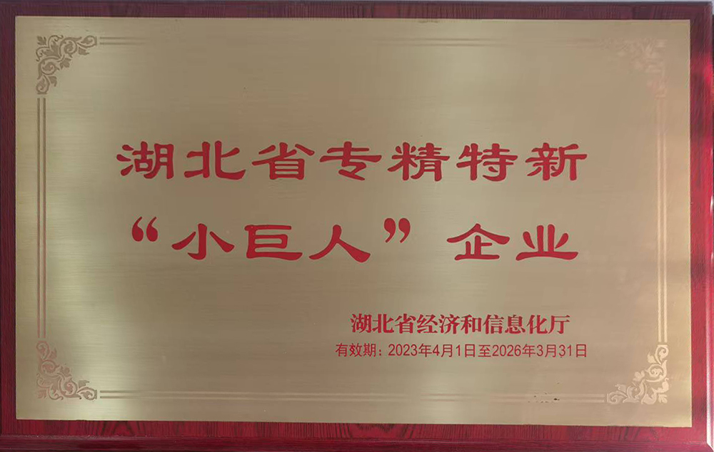 湖北省專(zhuān)精特新小巨人企業(yè)